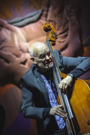 Lars-Danielsson-podczas-koncertu-Mozdzer-Danielsson-Fresco-Trio-na-Jazz-Jamboree-2018-Plac-Trzech-Kr