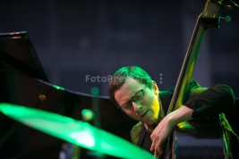 Basista-Thomas-Morgan-na-festiwalu-Warsaw-Summer-Jazz-Days-2015-Soho-Factory-Warszawa-9-lipca-2015