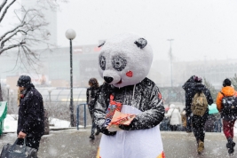 Wolontariuszka-Panda-25-finalu-Wielkiej-Orkiestry-Światecznej-Pomocy-Warszawa-20170115