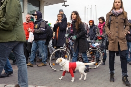 Manifestacja-anty-bankowa-w-Warszawie-20111015